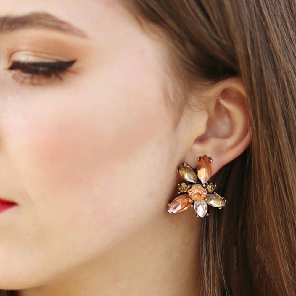 Harlyn Crystal Flower Pattern Fashion Earrings 16$